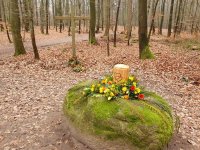 ein Bild aus dem Album