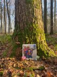 ein Bild aus dem Album